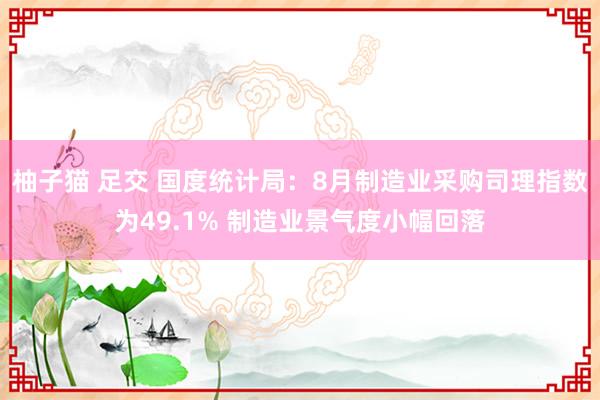 柚子猫 足交 国度统计局：8月制造业采购司理指数为49.1% 制造业景气度小幅回落