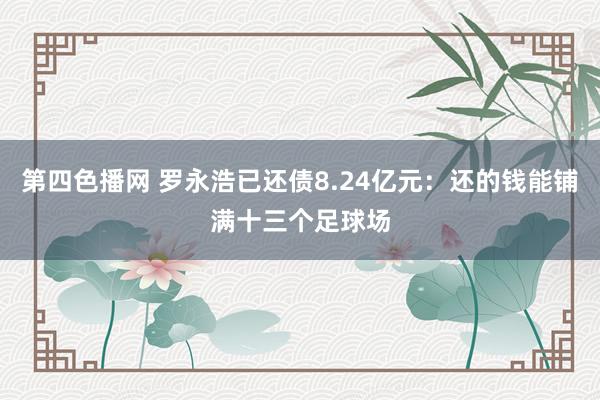 第四色播网 罗永浩已还债8.24亿元：还的钱能铺满十三个足球场