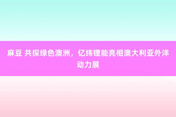 麻豆 共探绿色澳洲，亿纬锂能亮相澳大利亚外洋动力展