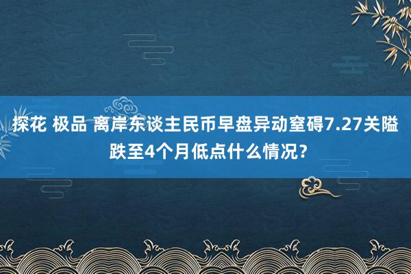 探花 极品 离岸东谈主民币早盘异动窒碍7.27关隘 跌至4个月低点什么情况？