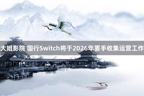 大姐影院 国行Switch将于2026年罢手收集运营工作