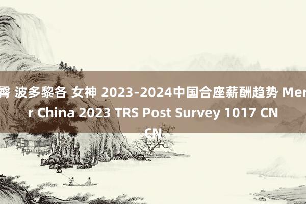 巨臀 波多黎各 女神 2023-2024中国合座薪酬趋势 Mercer China 2023 TRS Post Survey 1017 CN