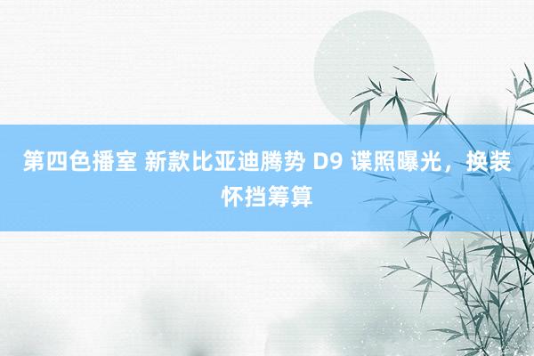 第四色播室 新款比亚迪腾势 D9 谍照曝光，换装怀挡筹算
