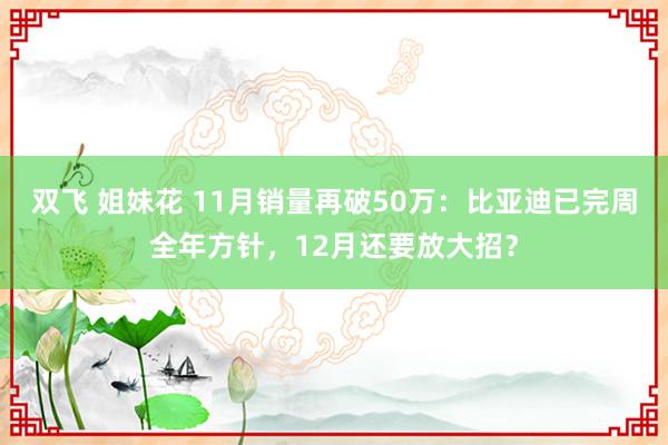 双飞 姐妹花 11月销量再破50万：比亚迪已完周全年方针，12月还要放大招？