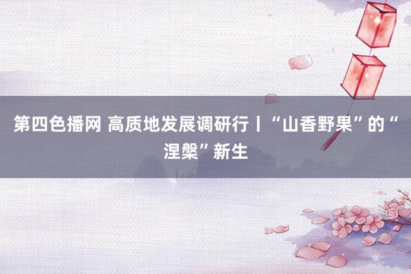 第四色播网 高质地发展调研行丨“山香野果”的“涅槃”新生