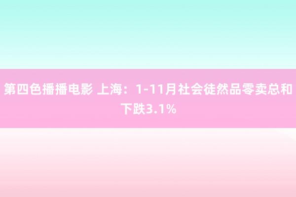 第四色播播电影 上海：1-11月社会徒然品零卖总和下跌3.1%