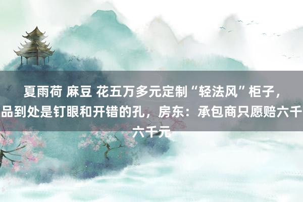 夏雨荷 麻豆 花五万多元定制“轻法风”柜子，制品到处是钉眼和开错的孔，房东：承包商只愿赔六千元