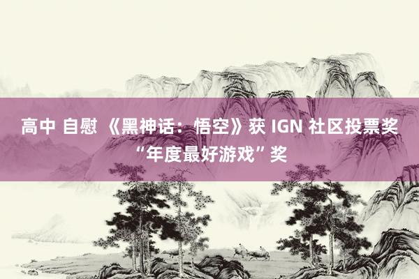 高中 自慰 《黑神话：悟空》获 IGN 社区投票奖“年度最好游戏”奖