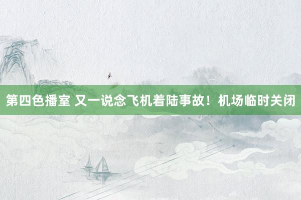 第四色播室 又一说念飞机着陆事故！机场临时关闭