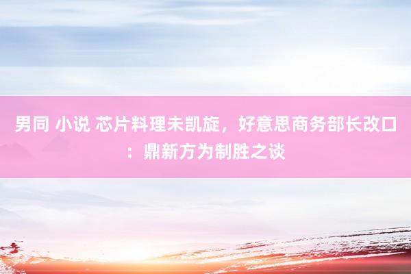 男同 小说 芯片料理未凯旋，好意思商务部长改口：鼎新方为制胜之谈