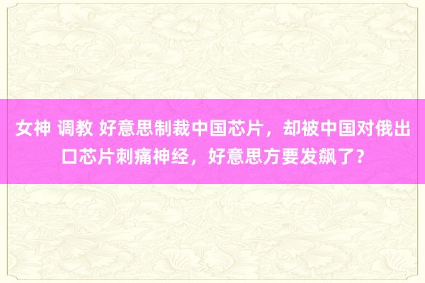 女神 调教 好意思制裁中国芯片，却被中国对俄出口芯片刺痛神经，好意思方要发飙了？