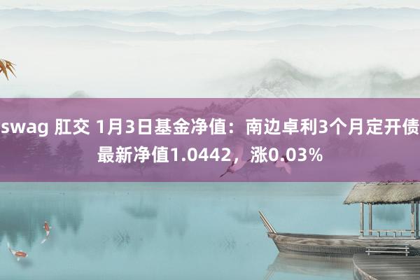 swag 肛交 1月3日基金净值：南边卓利3个月定开债最新净值1.0442，涨0.03%