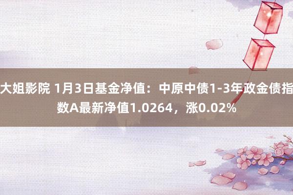 大姐影院 1月3日基金净值：中原中债1-3年政金债指数A最新净值1.0264，涨0.02%