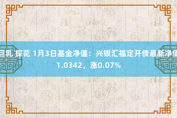 巨乳 探花 1月3日基金净值：兴银汇福定开债最新净值1.0342，涨0.07%