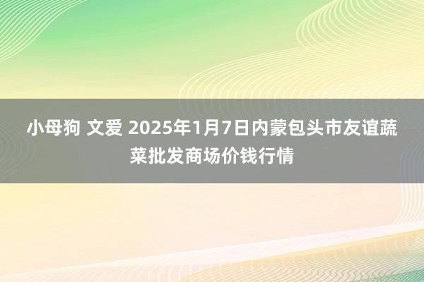 小母狗 文爱 2025年1月7日内蒙包头市友谊蔬菜批发商场价钱行情