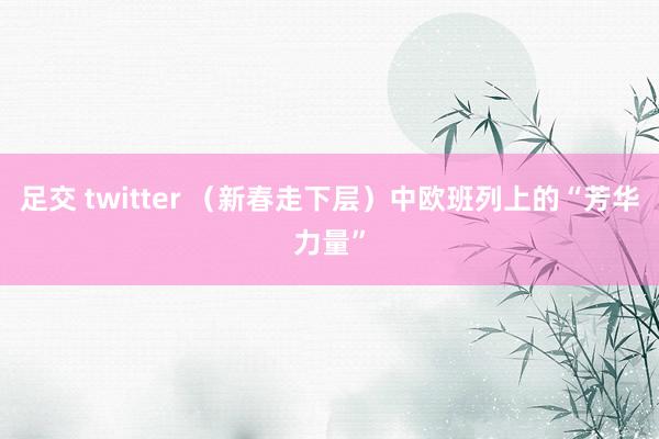 足交 twitter （新春走下层）中欧班列上的“芳华力量”