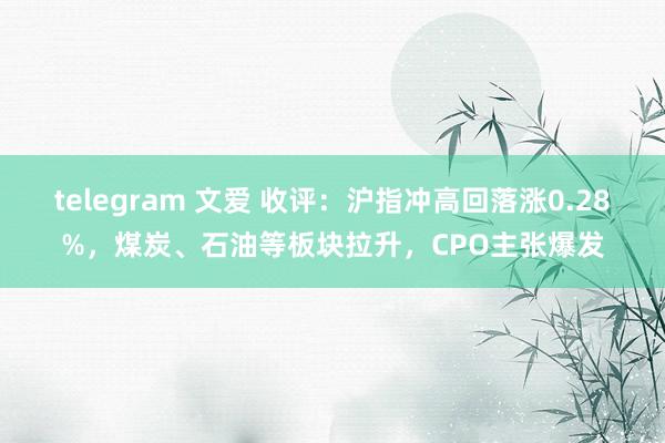 telegram 文爱 收评：沪指冲高回落涨0.28%，煤炭、石油等板块拉升，CPO主张爆发