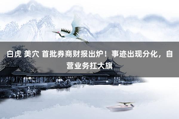 白虎 美穴 首批券商财报出炉！事迹出现分化，自营业务扛大旗