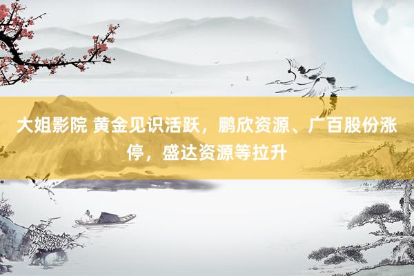 大姐影院 黄金见识活跃，鹏欣资源、广百股份涨停，盛达资源等拉升
