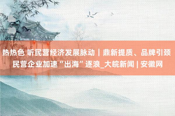 热热色 听民营经济发展脉动｜鼎新提质、品牌引颈 民营企业加速“出海”逐浪_大皖新闻 | 安徽网