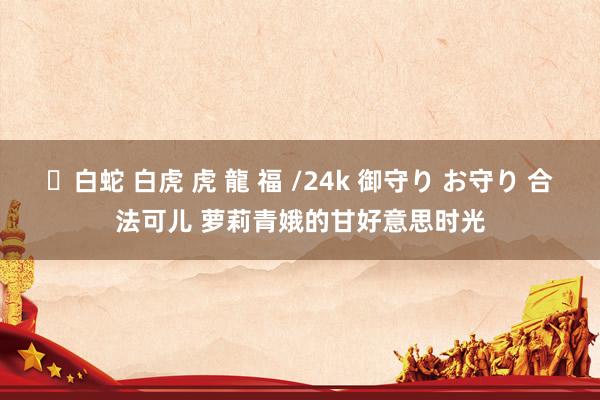 ✨白蛇 白虎 虎 龍 福 /24k 御守り お守り 合法可儿 萝莉青娥的甘好意思时光