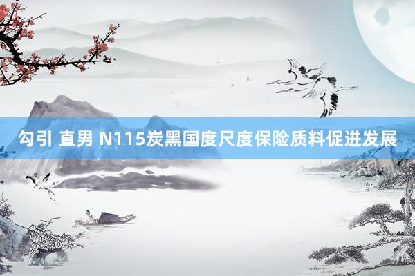 勾引 直男 N115炭黑国度尺度保险质料促进发展