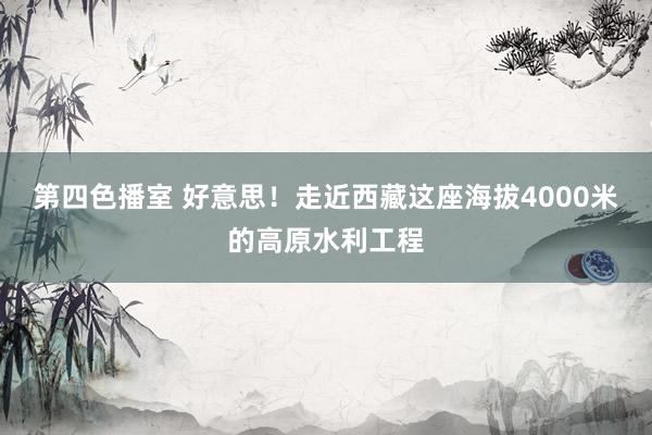 第四色播室 好意思！走近西藏这座海拔4000米的高原水利工程