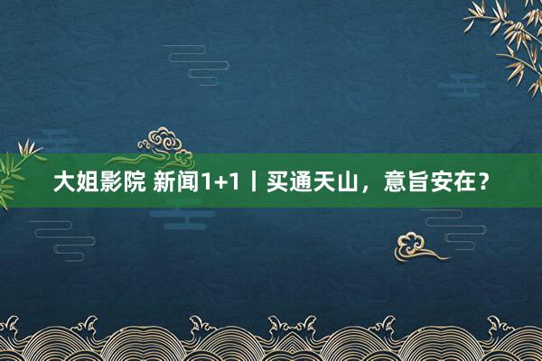大姐影院 新闻1+1丨买通天山，意旨安在？