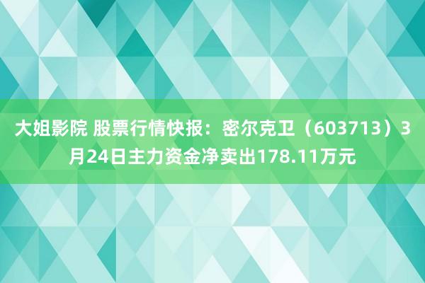 大姐影院 股票行情快报：密尔克卫（603713）3月24日主力资金净卖出178.11万元