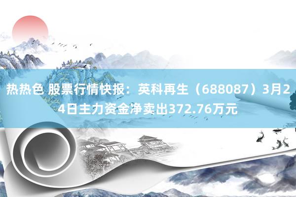 热热色 股票行情快报：英科再生（688087）3月24日主力资金净卖出372.76万元