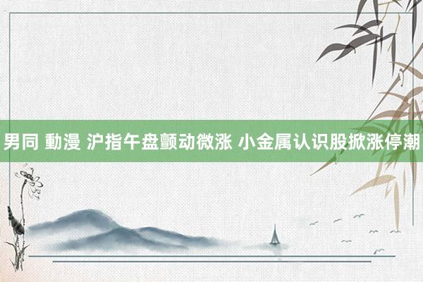男同 動漫 沪指午盘颤动微涨 小金属认识股掀涨停潮