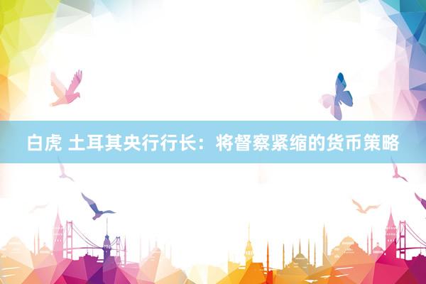 白虎 土耳其央行行长：将督察紧缩的货币策略