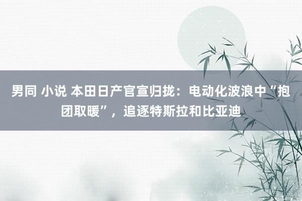 男同 小说 本田日产官宣归拢：电动化波浪中“抱团取暖”，追逐特斯拉和比亚迪