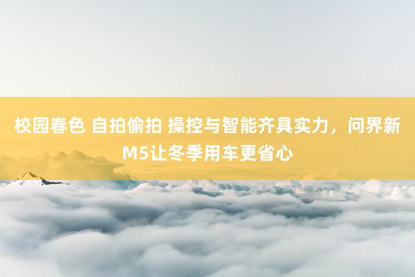 校园春色 自拍偷拍 操控与智能齐具实力，问界新M5让冬季用车更省心