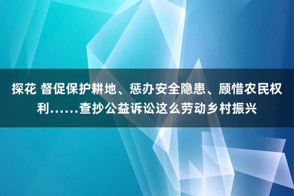 探花 督促保护耕地、惩办安全隐患、顾惜农民权利……查抄公益诉讼这么劳动乡村振兴