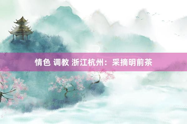 情色 调教 浙江杭州：采摘明前茶