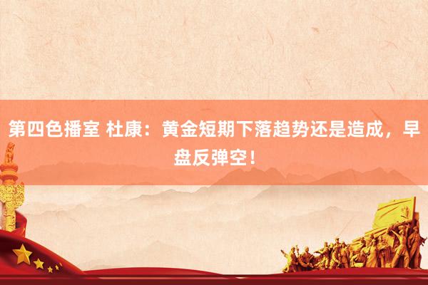 第四色播室 杜康：黄金短期下落趋势还是造成，早盘反弹空！