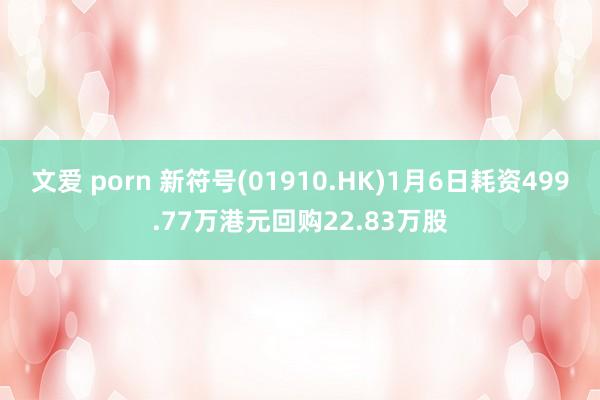 文爱 porn 新符号(01910.HK)1月6日耗资499.77万港元回购22.83万股