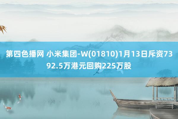 第四色播网 小米集团-W(01810)1月13日斥资7392.5万港元回购225万股