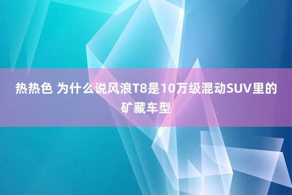 热热色 为什么说风浪T8是10万级混动SUV里的矿藏车型