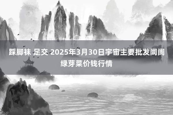 踩脚袜 足交 2025年3月30日宇宙主要批发阛阓绿芽菜价钱行情
