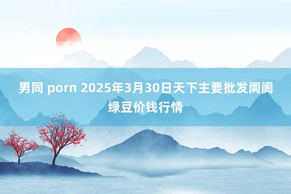 男同 porn 2025年3月30日天下主要批发阛阓绿豆价钱行情
