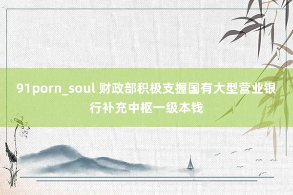 91porn_soul 财政部积极支握国有大型营业银行补充中枢一级本钱