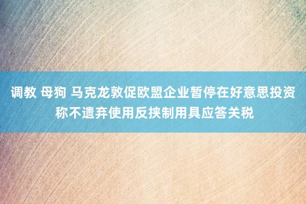 调教 母狗 马克龙敦促欧盟企业暂停在好意思投资 称不遗弃使用反挟制用具应答关税