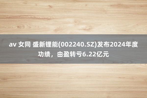 av 女同 盛新锂能(002240.SZ)发布2024年度功绩，由盈转亏6.22亿元