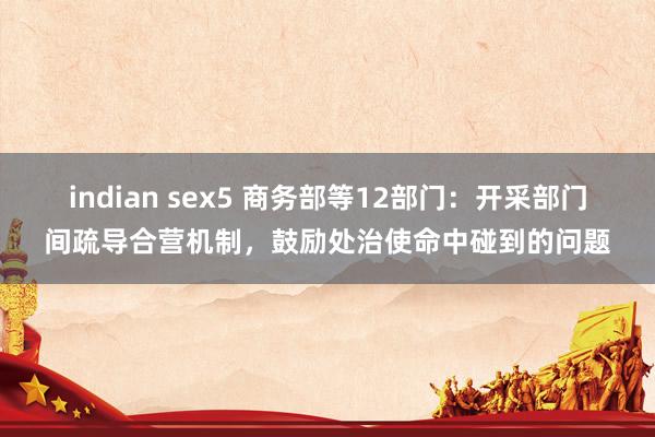 indian sex5 商务部等12部门：开采部门间疏导合营机制，鼓励处治使命中碰到的问题