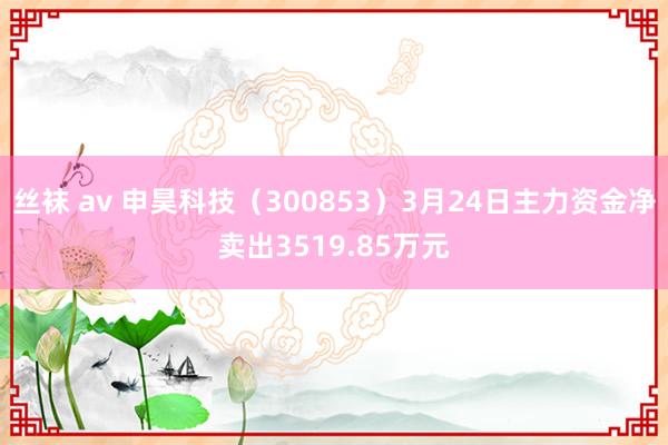 丝袜 av 申昊科技（300853）3月24日主力资金净卖出3519.85万元
