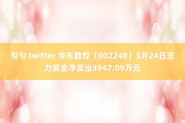 勾引 twitter 华东数控（002248）3月24日主力资金净卖出3947.09万元
