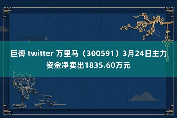 巨臀 twitter 万里马（300591）3月24日主力资金净卖出1835.60万元
