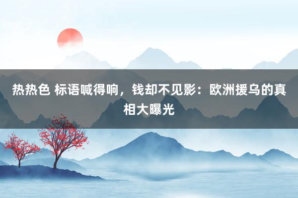 热热色 标语喊得响，钱却不见影：欧洲援乌的真相大曝光